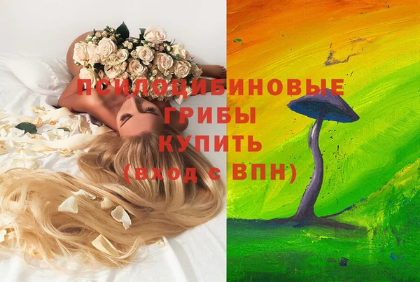 индика Абаза